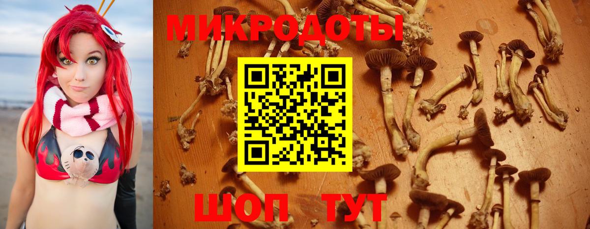 Галлюциногенные грибы мицелий  Вход с VPN  Уварово 